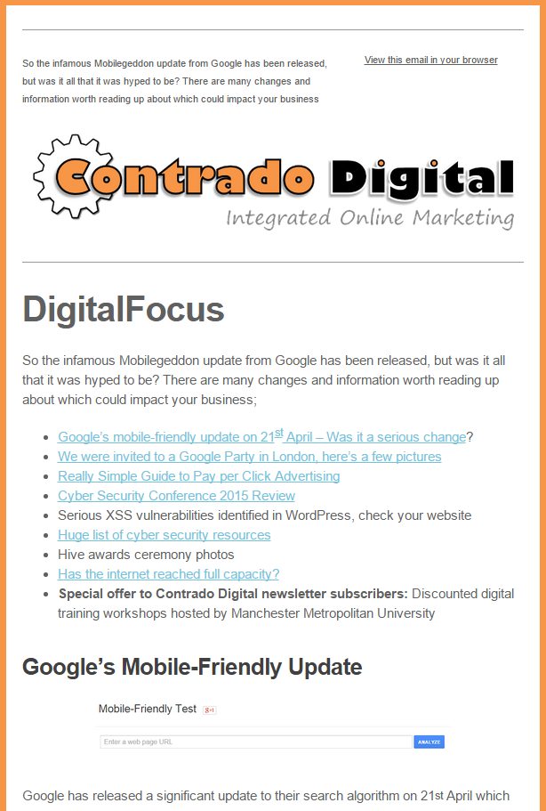Example Email Marketing Campaign Newsletter